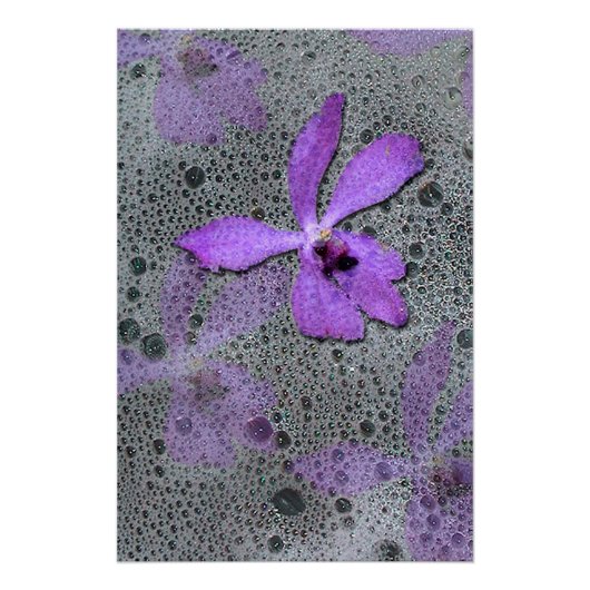 Zee orchidee perfect poster (Voorkant)