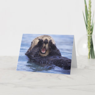Zee otter Alaska, VS Kaart