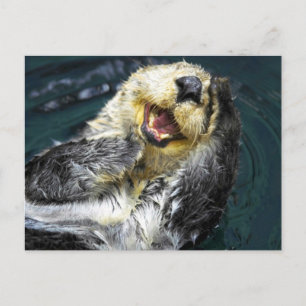 Zee Otter Briefkaart