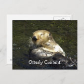 Zee Otter Briefkaart (Voorkant / Achterkant)