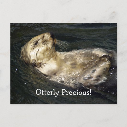 Zee Otter Briefkaart (Voorkant)