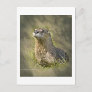 Zee otter-Briefkaarten Briefkaart