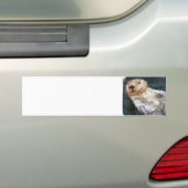 Zee Otter Bumpersticker (Op auto)