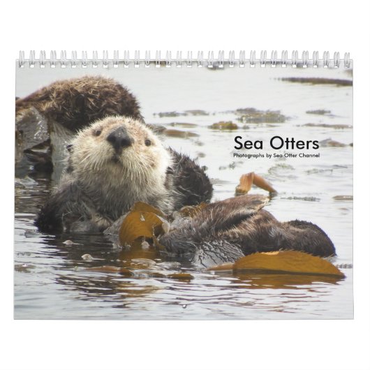 Zee Otter Channel Agenda #3 Kalender (Hoes)