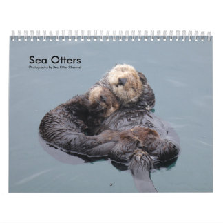 Zee Otter Channel Agenda #4 Kalender