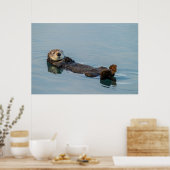 Zee otter die op de rug drijft poster (Keuken)