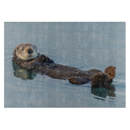Zee otter die op de rug drijft snijplank (Voorkant)