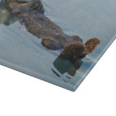 Zee otter die op de rug drijft snijplank (Hoek)