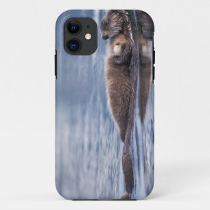 zee otter, Enhydra lutris lutris iPhone 11 Hoesje
