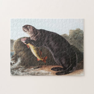 Zee Otter (Enhydra marina) Illustratie Legpuzzel