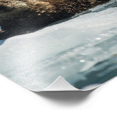 Zee Otter Foto Afdruk (Hoek)