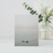 Zee Otter in de mist Briefkaart (Staand voorkant)