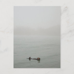 Zee Otter in de mist Briefkaart