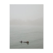 Zee Otter in de mist