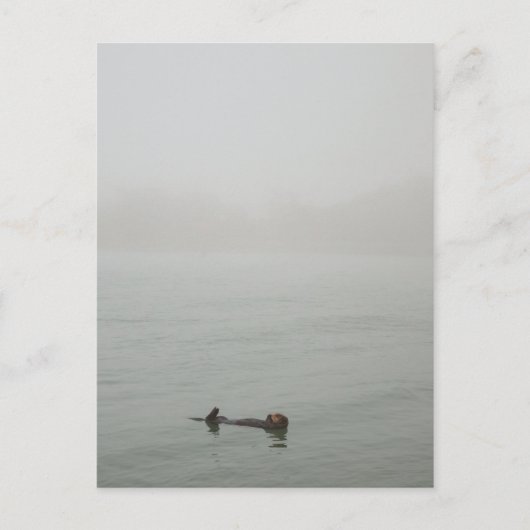Zee Otter in de mist Briefkaart (Voorkant)