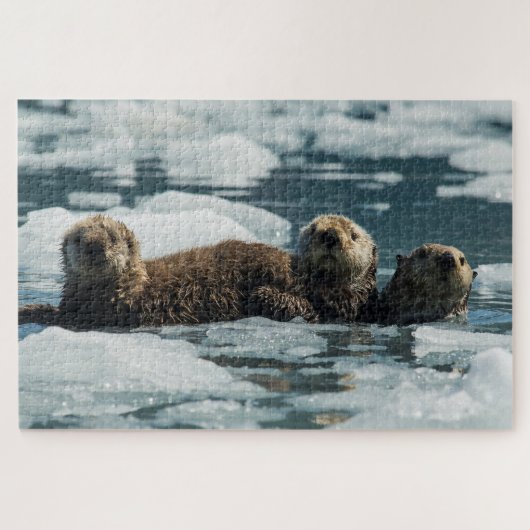 Zee Otter Legpuzzel (Horizontaal)