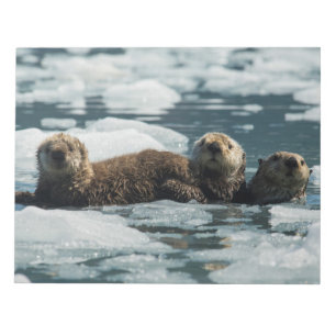 Zee Otter Notitieblok