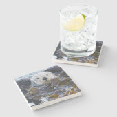 Zee otter omwikkeld in kelp stenen onderzetter (Zijkant)