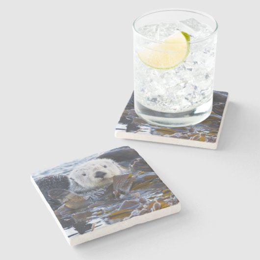 Zee otter omwikkeld in kelp stenen onderzetter (Zijkant)