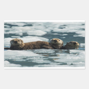 Zee Otter Rechthoekige Sticker