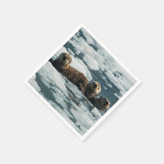 Zee Otter Servet (Hoek)