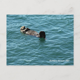 Zee otter slapen briefkaart