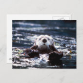 Zee Otter Swimming Briefkaart (Voorkant / Achterkant)