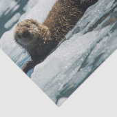 Zee Otter Tissuepapier (Detail)