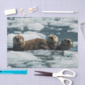 Zee Otter Tissuepapier (Craft)