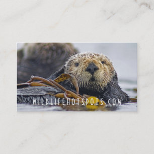 Zee Otter Visitekaartje
