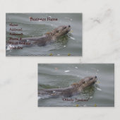 Zee Otter Visitekaartje (Voorkant / Achterkant)