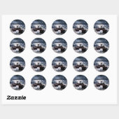 Zee otter zwemmen ronde sticker (Vel)