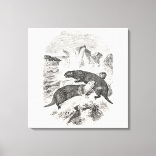  Zee Otters 1800s Otter Illustratie Canvas Afdruk