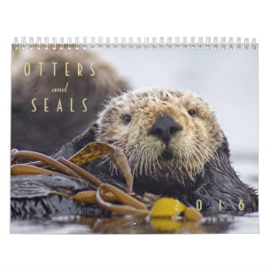 Zee Otters and Seals Wall Calendar 2016 - Wildlife Kalender