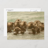 Zee Otters Briefkaart (Voorkant / Achterkant)