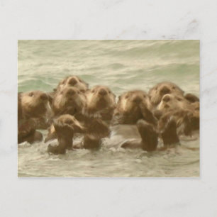 Zee Otters Briefkaart
