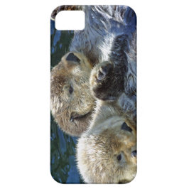 Zee-otters iPhone 11 Hoesje