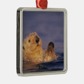 Zee Otters, Enhydra lutris 2 Metalen Ornament (Rechts)