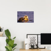 Zee Otters, Enhydra lutris 5 Poster (Thuiskantoor)