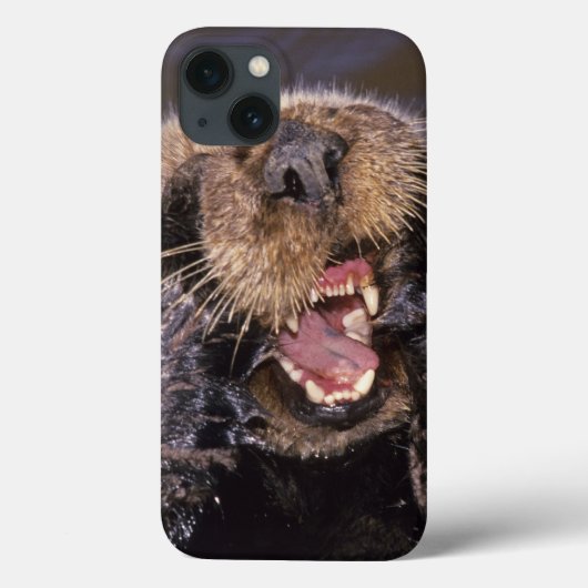 Zee Otters, Enhydra lutris 6 Case-Mate iPhone Case (Achterkant)
