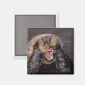 Zee Otters, Enhydra lutris 6 Magneet (Voorkant / Achterkant)