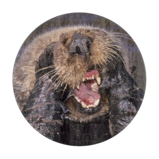 Zee Otters, Enhydra lutris 6 Snijplank (Voorkant)