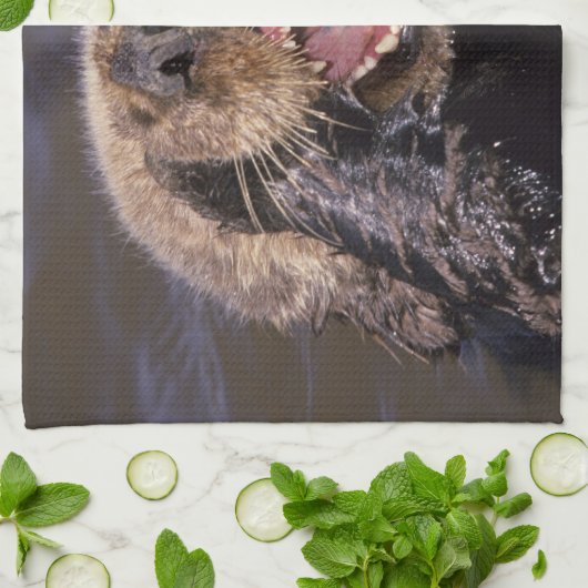 Zee Otters, Enhydra lutris 6 Theedoek (Gevouwen)