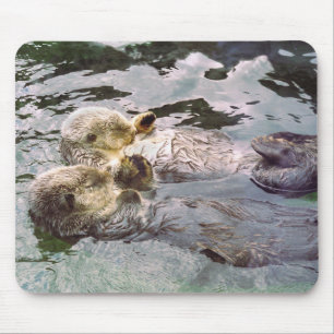 Zee Otters Holding Hands Muismat