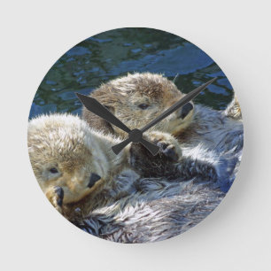 Zee-otters Ronde Klok