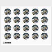 Zee-otters Ronde Sticker (Vel)