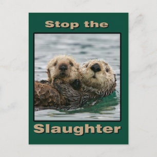 Zee Otters - Stop de slachting Briefkaart