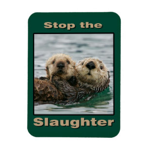 Zee Otters - Stop de slachting Magneet