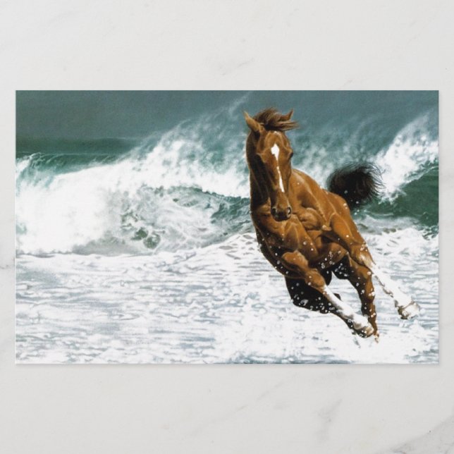 Zee paard (Voorkant)