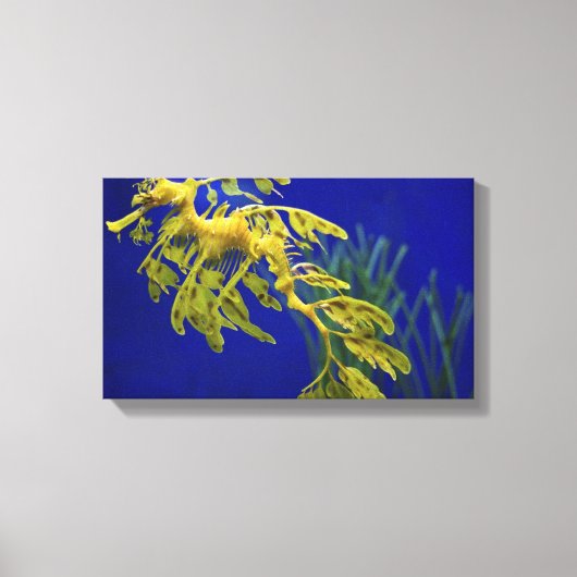 Zee paard canvas afdruk (Voorkant)